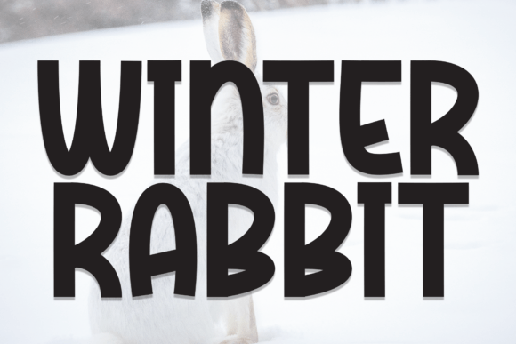 Winter Rabbit: A Bold Display Font for Cozy Editorial Design